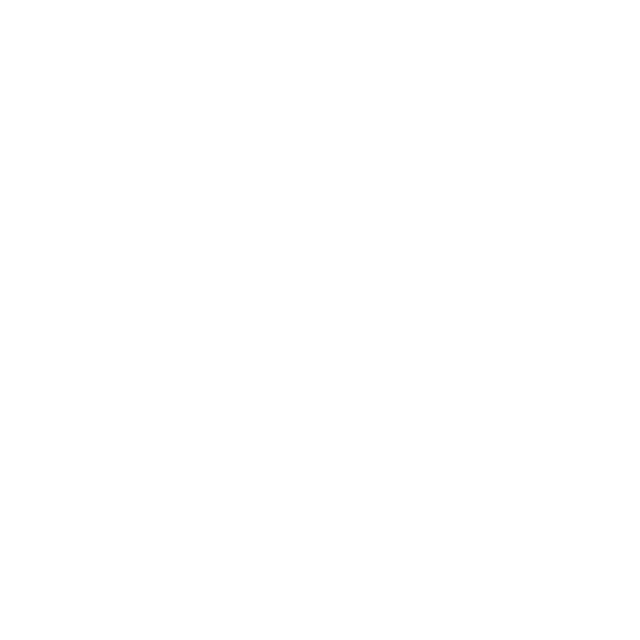 Home bolt solid